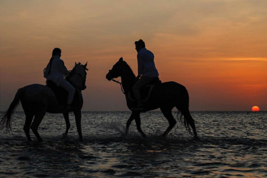 Horse Riding Trip in Hurghada